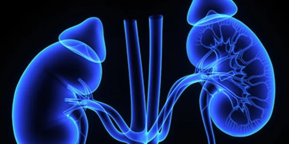 affordable dialysis
