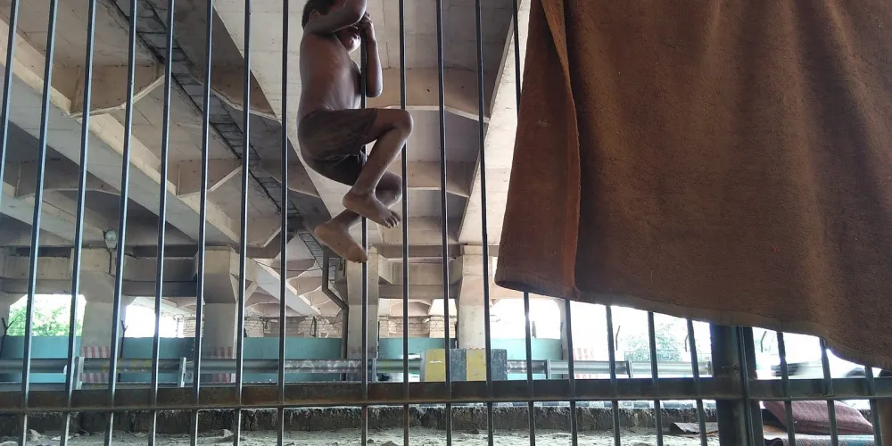 lives under the flyover in Delhi