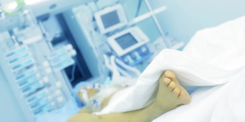 Sepsis_report