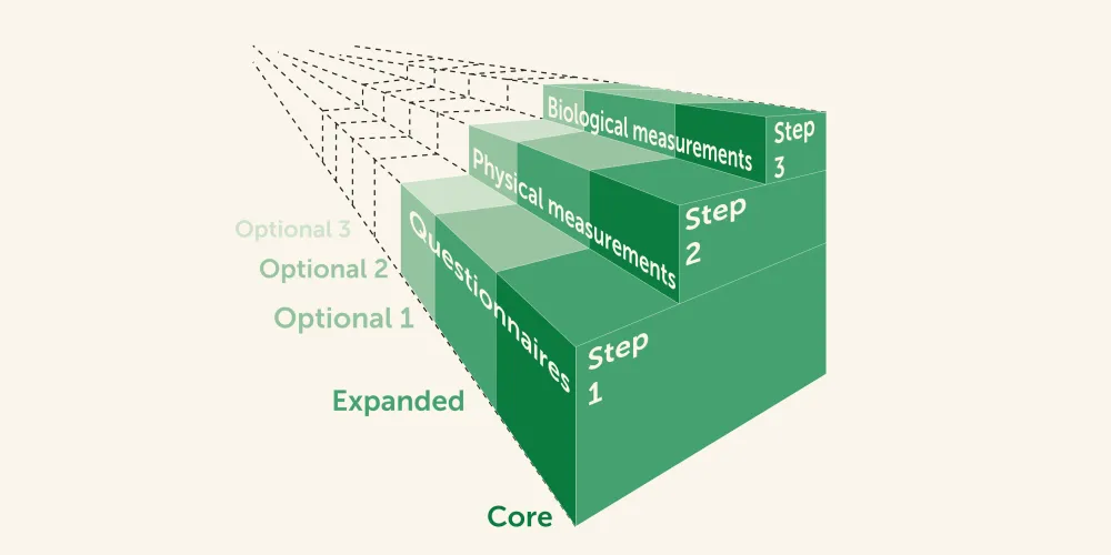 A diagram with stages