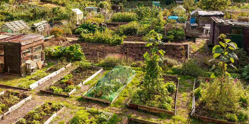 Food and water security surveys indigenous communities