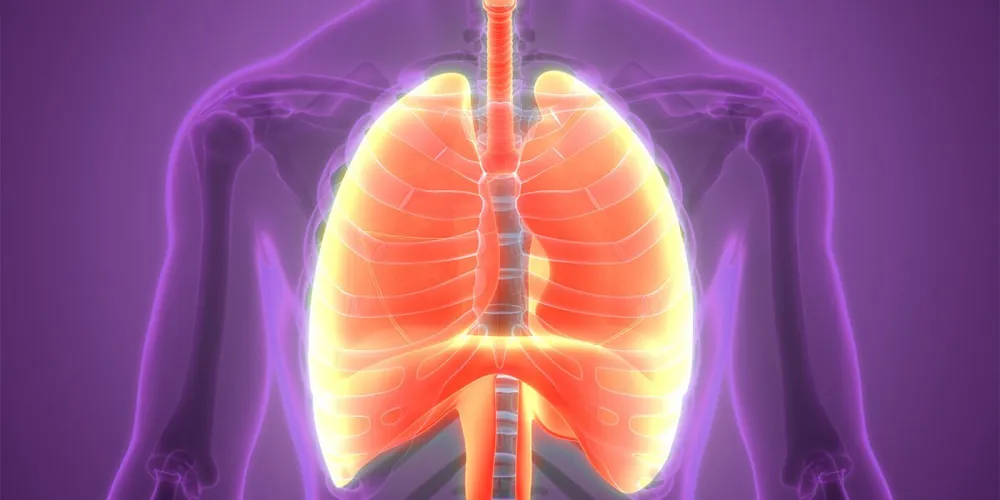 Tuberculosis burden treatment cost